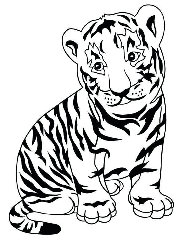 600x776 Tigers Coloring Pages Tiger Coloring Page Tiger Coloring Pages