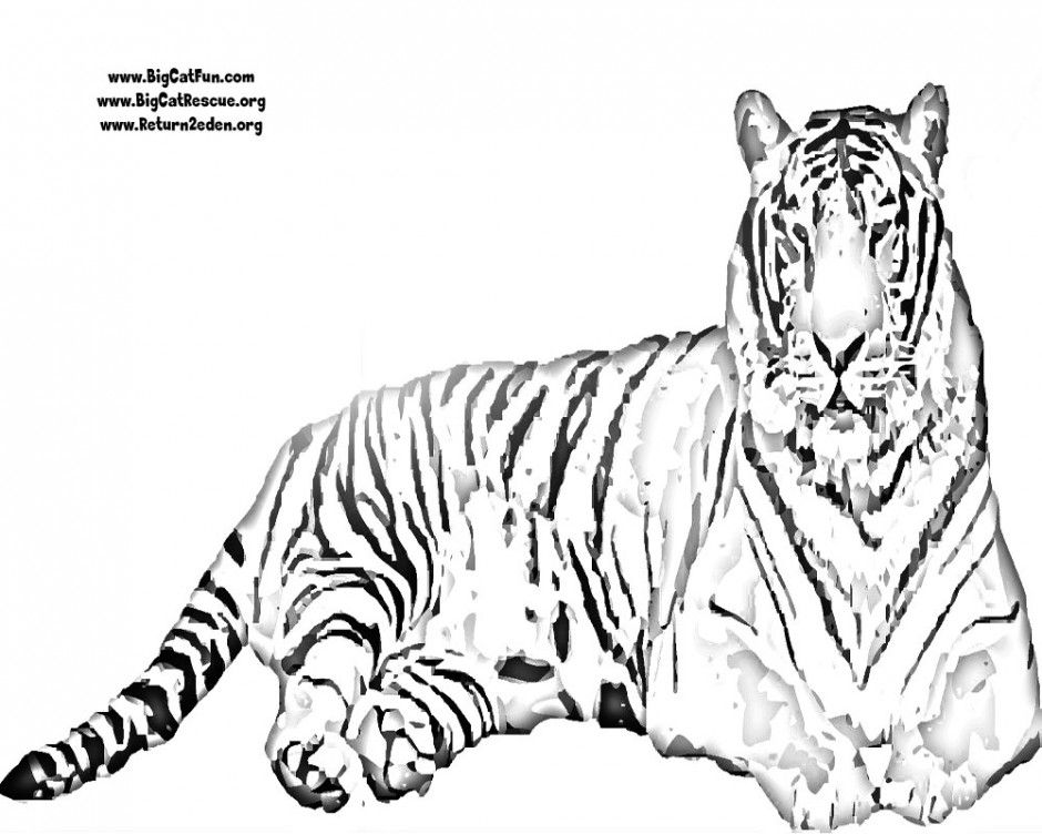 940x752 Tigers Coloring Pages Tiger Coloring Pages To Print Clemson 186357