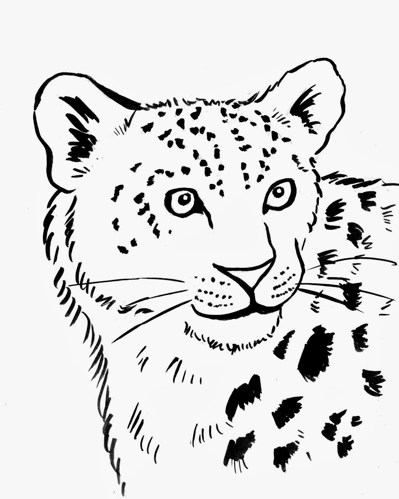 Snow Leopard Coloring Page 320203 1280x1600 Snow Leopard Coloring Page 320203