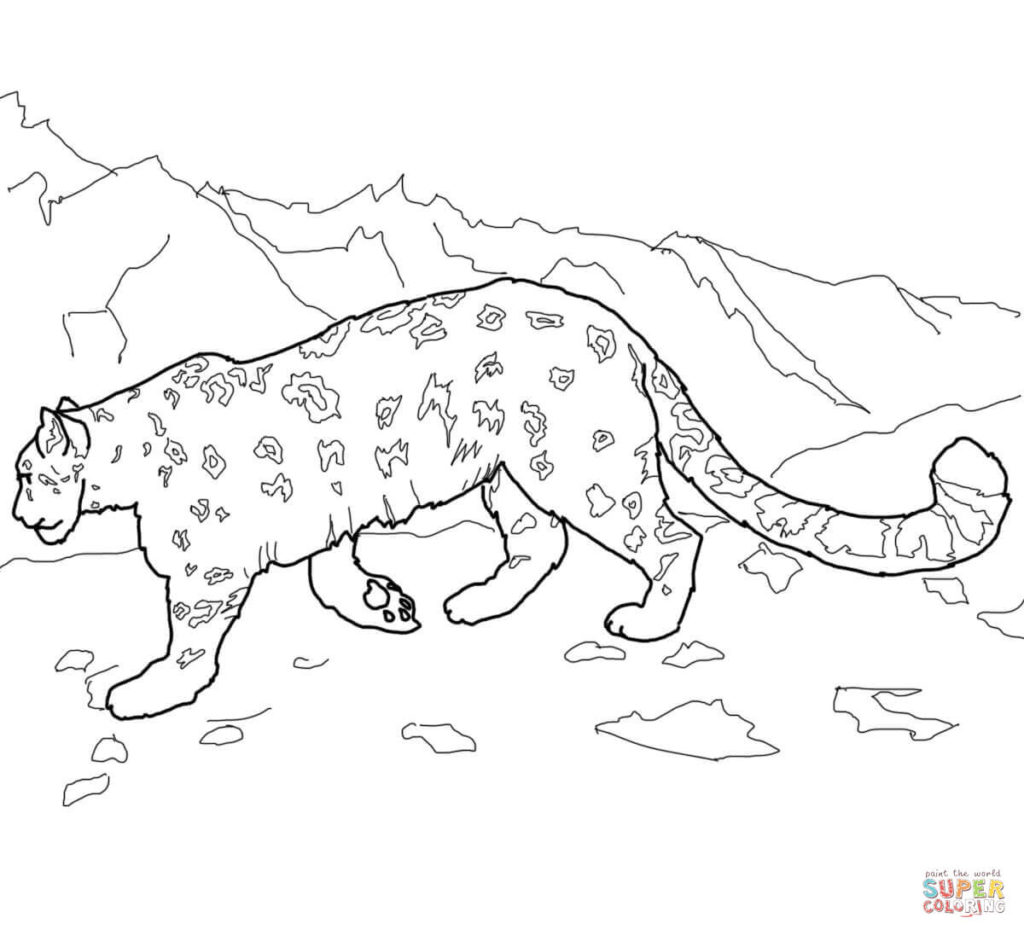 Snow Leopard Coloring Pages Get Bubbles 1024x935 Snow Leopard Coloring Pages Get Bubbles