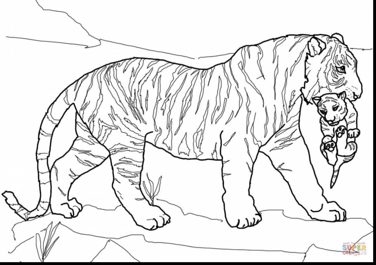 Tiger Coloring Pages Page Image Clipart Images 1320x931 Tiger Coloring Pages Page Image Clipart Images