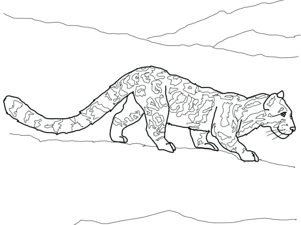 Cheetah Coloring Pages Pdf Cool The Sun Flower Awesome Page Photo 1043x782 Cheetah Coloring Pages Pdf Cool The Sun Flower Awesome Page Photo