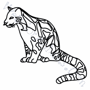 Clouded Leopard Coloring Pages 300x300 Clouded Leopard Coloring Pages