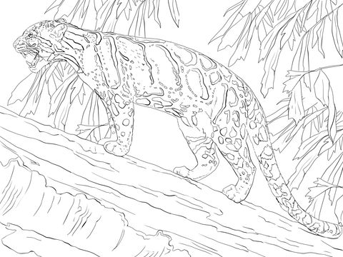 Clouded Leopard Standing On Tree Coloring Page Paisagens Pintura 480x360 Clouded Leopard Standing On Tree Coloring Page Paisagens Pintura