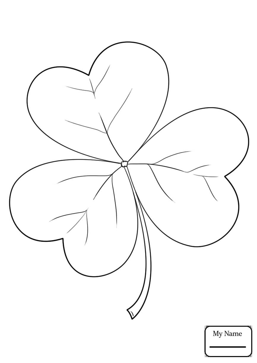 866x1224 Clover Coloring Page