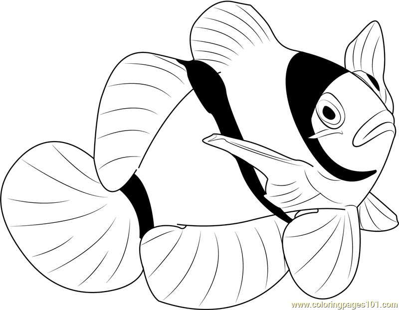 Clown Fish Coloring Page at GetColorings.com | Free printable colorings ...