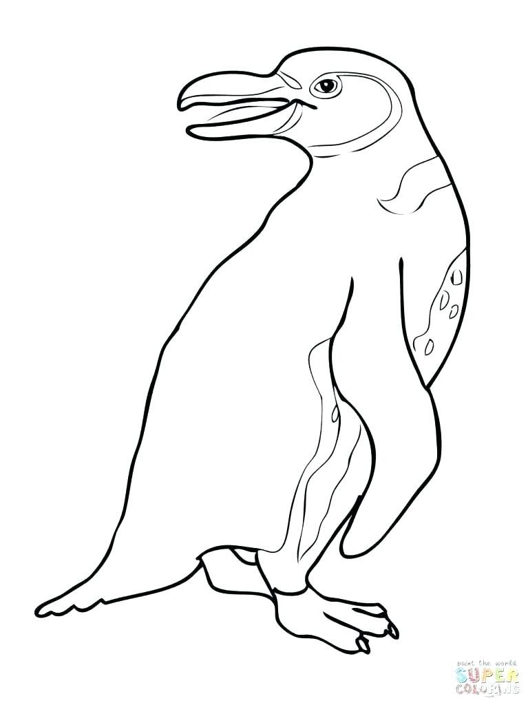 767x1024 Club Penguin Coloring Pages Penguin Coloring Sheets Club Penguin