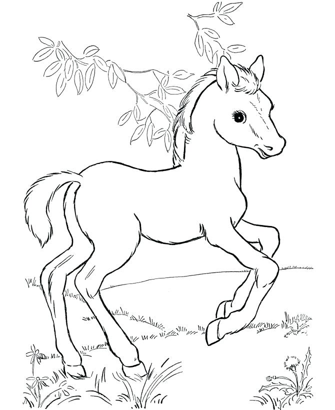 Coloring Picture Of A Horse Best Horse Coloring Pages Ideas 670x820 Coloring Picture Of A Horse Best Horse Coloring Pages Ideas