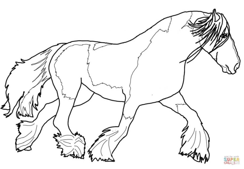 Free Coloring Pages Clydesdale Horses Coloring Pages