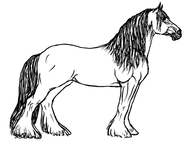 Top 84 Horse Coloring Pages 641x504 Top 84 Horse Coloring Pages