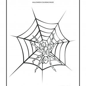 300x300 Us Airce Coloring Pages New Us Airce Ranks Colouring