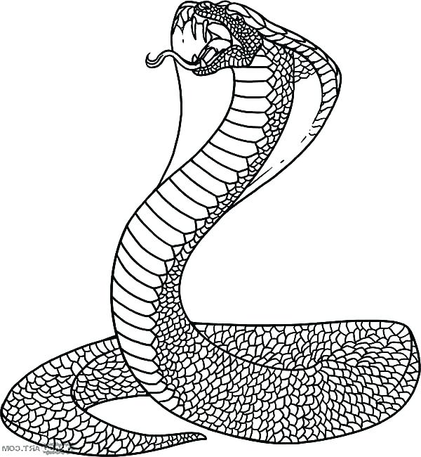 Coloring Pages Also The Evil Snake Coloring Pages Coloring Pages 600x650 Coloring Pages Also The Evil Snake Coloring Pages Coloring Pages