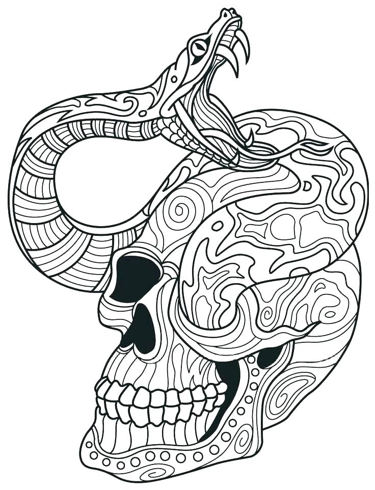 Coloring Pages Of Snakes Coloring Pages Of Snakes For Coloring 736x962 Coloring Pages Of Snakes Coloring Pages Of Snakes For Coloring