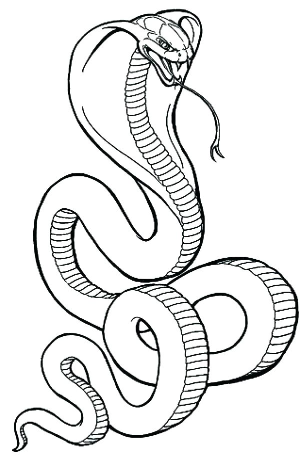 Coloring Pages Snakes Snake Coloring Page Coloring Pages Snakes 600x937 Coloring Pages Snakes Snake Coloring Page Coloring Pages Snakes