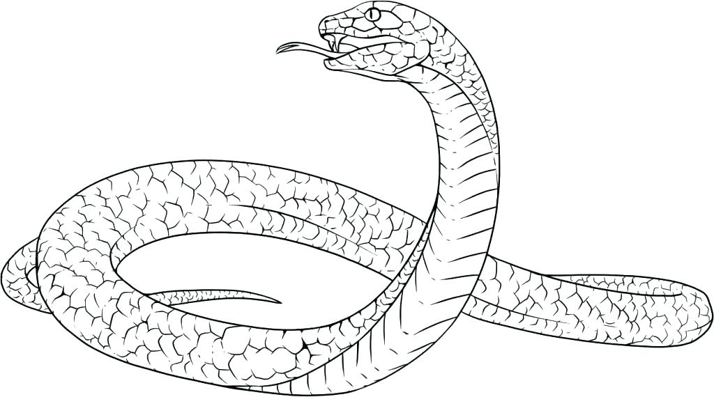 King Cobra Coloring Pages Drawn Cobra Coloring Page Pencil And 1024x570 King Cobra Coloring Pages Drawn Cobra Coloring Page Pencil And