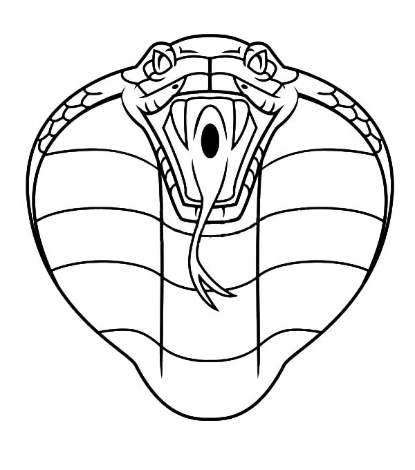 King Cobra Coloring Sheet Wild Life Pages Kids Play Color 600x680 King Cobra Coloring Sheet Wild Life Pages Kids Play Color