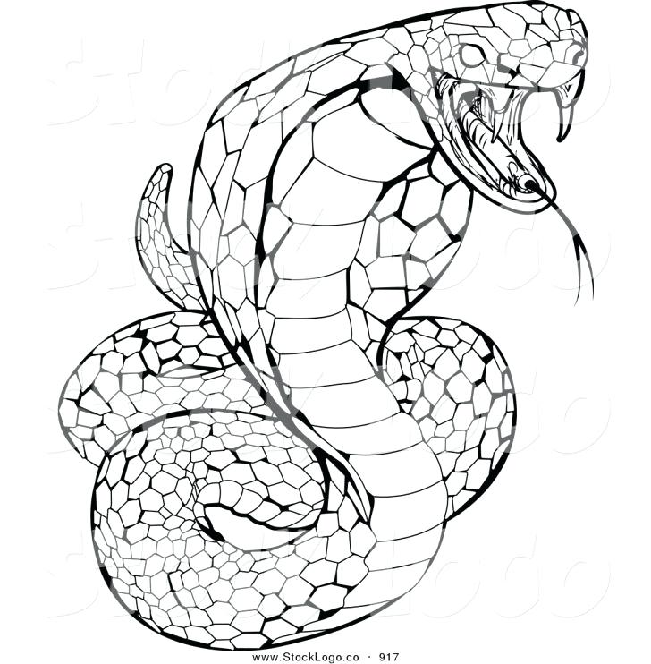Rattlesnake Coloring Page Coloring Pages Snake Printable For Kids 728x742 Rattlesnake Coloring Page Coloring Pages Snake Printable For Kids
