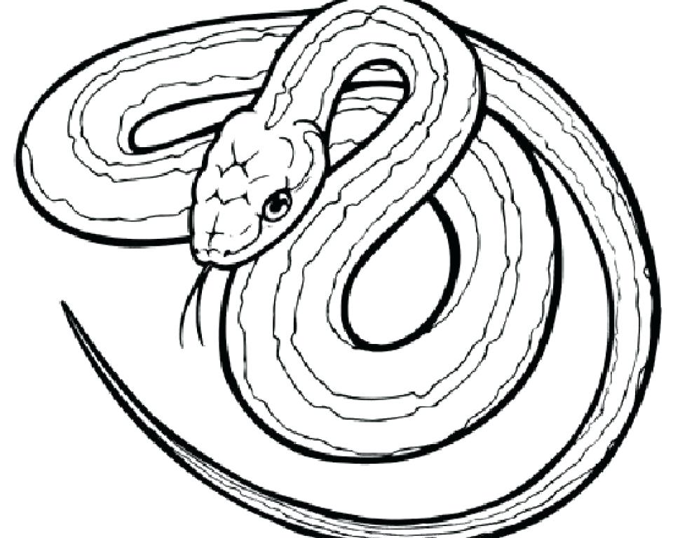 Snake Coloring Page Color Pages For Kids Coloring Striking Cobra 960x768 Snake Coloring Page Color Pages For Kids Coloring Striking Cobra