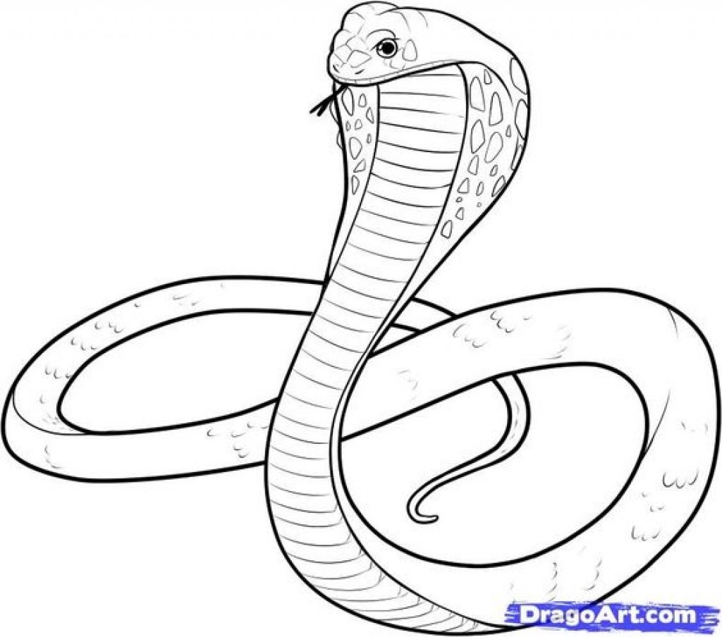 Cobra Love Coloring Pages Hellokids Free Printable Page Animals 1024x904 Cobra Love Coloring Pages Hellokids Free Printable Page Animals
