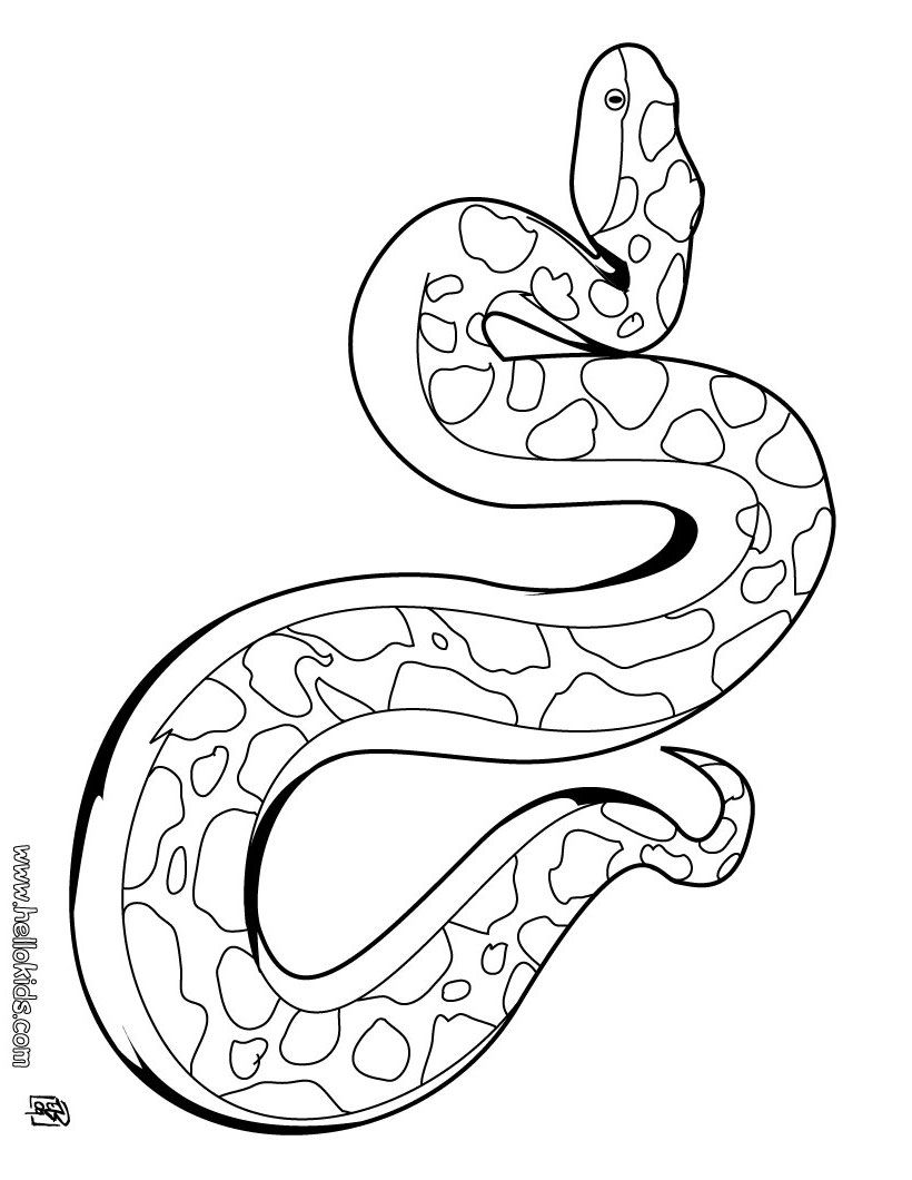 Pin By Piafkapin On Coloring Pages Snake, Stenciling 820x1060 Pin By Piafkapin On Coloring Pages Snake, Stenciling