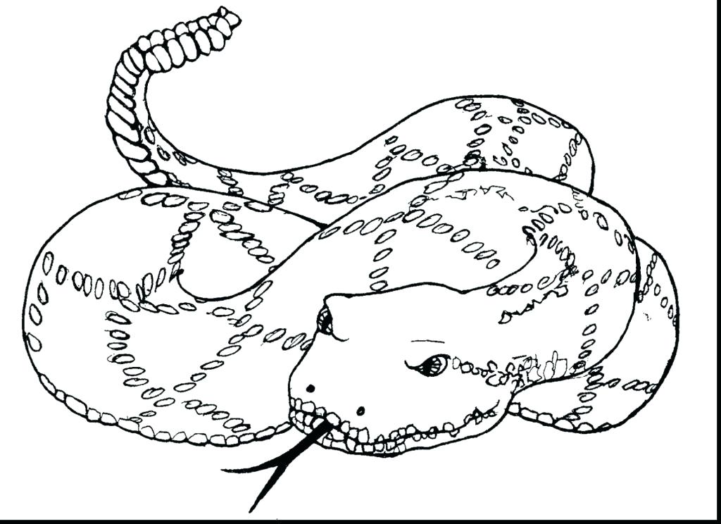 Popular Coloring Page Cobra Coloring Pages Inside Gi Joe Coloring 1024x744 Popular Coloring Page Cobra Coloring Pages Inside Gi Joe Coloring
