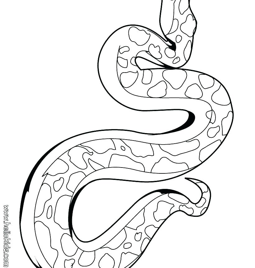 Snake Coloring Page Snake Coloring Pages Coloring Pages Baby Snake 820x864 Snake Coloring Page Snake Coloring Pages Coloring Pages Baby Snake