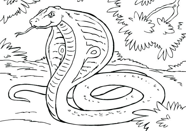 Snake Coloring Pages Fresh Snake Coloring Pages To Print Image 2 600x425 Snake Coloring Pages Fresh Snake Coloring Pages To Print Image 2