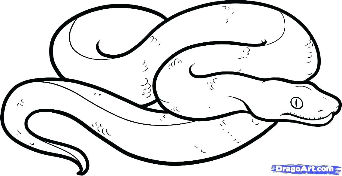Snake Coloring Pages Snake Color Page Rubber Snakes Realistic 1139x586 Snake Coloring Pages Snake Color Page Rubber Snakes Realistic
