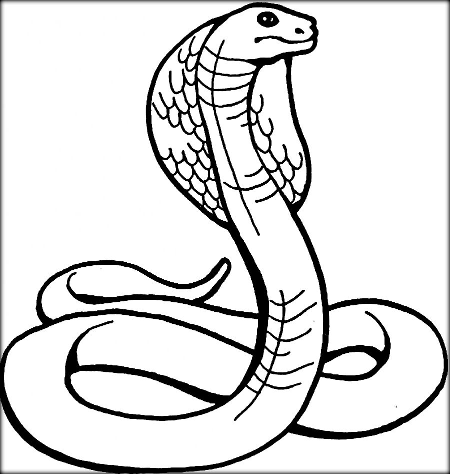Best Wild Reptiles Snake Coloring Pages 900x947 Best Wild Reptiles Snake Coloring Pages
