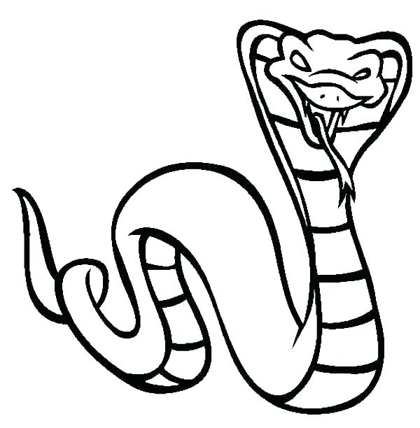 Snake Coloring Sheet 600x612 Snake Coloring Sheet