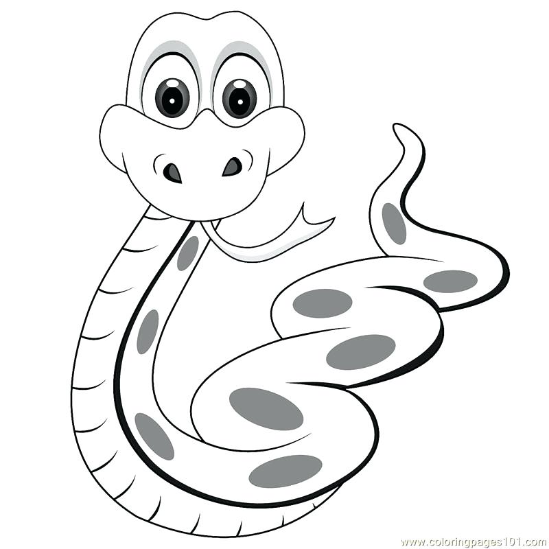 Cobra Snake Coloring Pictures Printable Coloring Snake Coloring 800x800 Cobra Snake Coloring Pictures Printable Coloring Snake Coloring