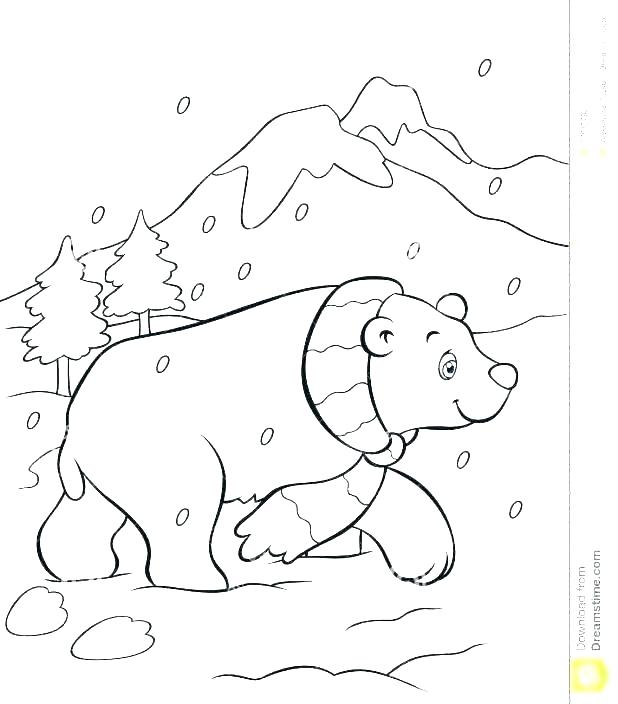 Polar Bear Color Page Polar Bear Coloring Pages Polar Bear 618x704 Polar Bear Color Page Polar Bear Coloring Pages Polar Bear