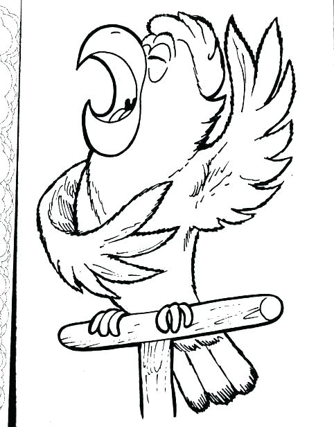 482x616 Coloring Pictures Of Parrots Parrot Coloring Pages Pirates