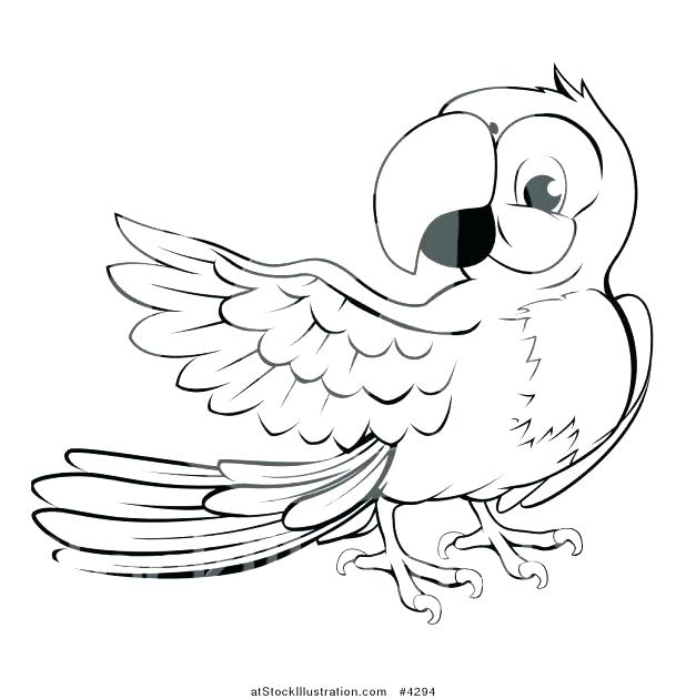 618x630 Parrot Coloring Sheet