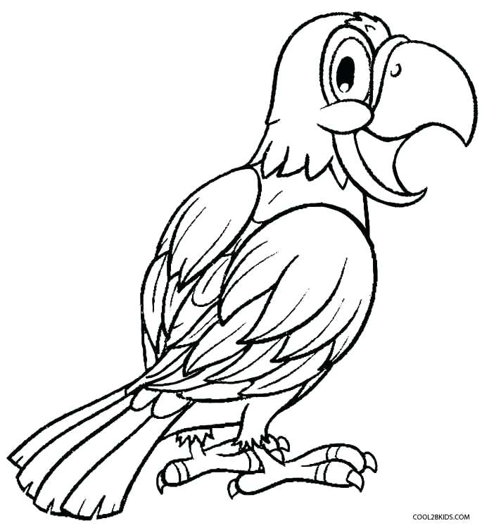 685x750 Coloring Parrots Coloring Pages Parrot Page Cockatiel Pirate