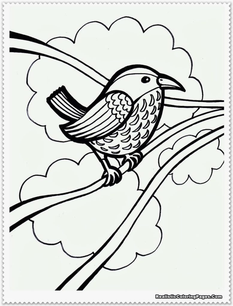 Cockatoo Coloring Pages Funny Cockatoo Coloring Pages For Cockatoo 778x1024 Cockatoo Coloring Pages Funny Cockatoo Coloring Pages For Cockatoo
