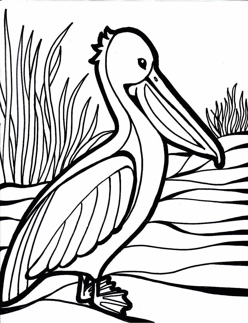 Cockatoo Coloring Pages Sweet Cockatoo Coloring Pages To Cockatoo 1000x1300 Cockatoo Coloring Pages Sweet Cockatoo Coloring Pages To Cockatoo