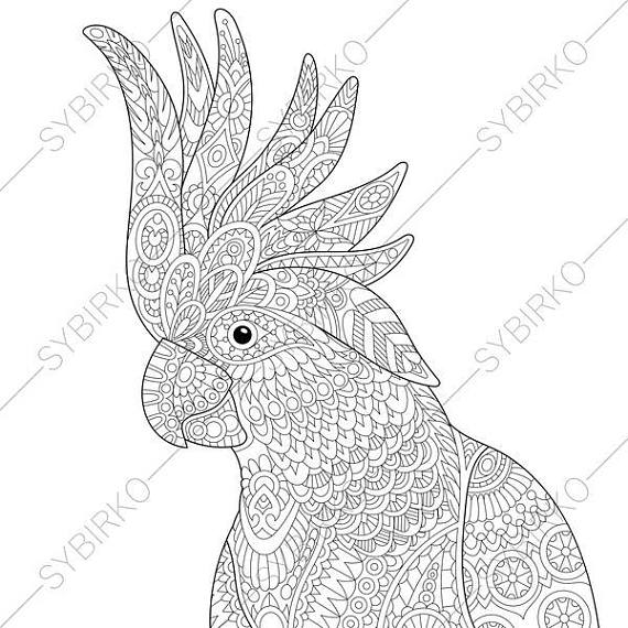Cockatoo Parrot. Coloring Pages. Animal Coloring Book Pages 570x570 Cockatoo Parrot. Coloring Pages. Animal Coloring Book Pages