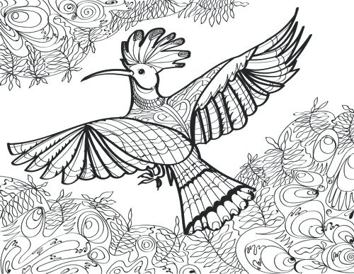 Coloring Pages For Girls Parrot Book Cockatoo Page Parrots Free 500x386 Coloring Pages For Girls Parrot Book Cockatoo Page Parrots Free