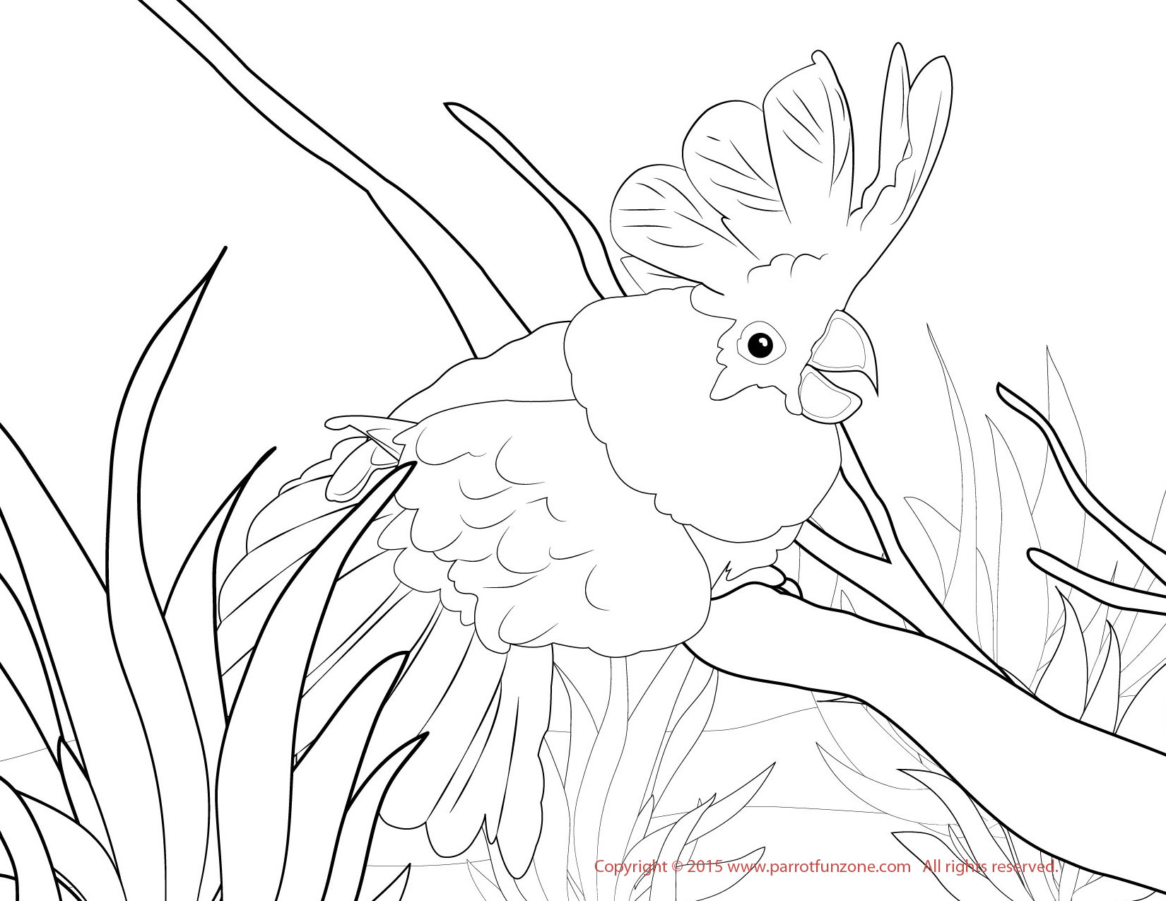 Coloring Pages 1650x1275 Coloring Pages