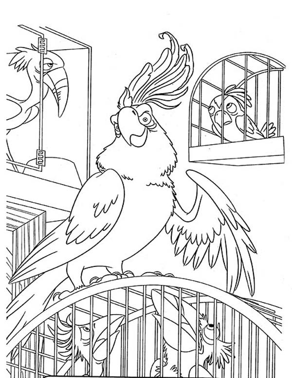 Nigel The Sulphur Crested Cockatoo From Rio Movie Coloring Pages 600x776 Nigel The Sulphur Crested Cockatoo From Rio Movie Coloring Pages