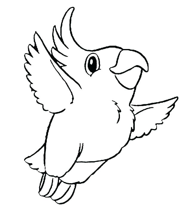 Parrot Coloring Pages Cockatoo Parrot Coloring Pages Realistic 600x686 Parrot Coloring Pages Cockatoo Parrot Coloring Pages Realistic