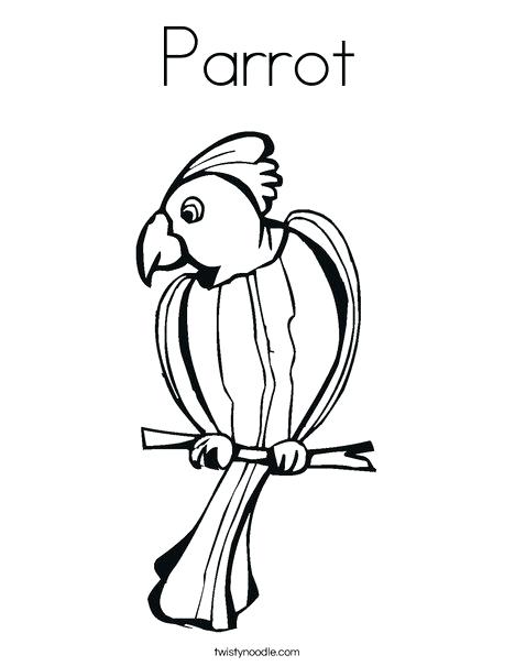 Parrot Coloring Sheet Parrot Coloring Page Parrot Coloring Page 468x605 Parrot Coloring Sheet Parrot Coloring Page Parrot Coloring Page