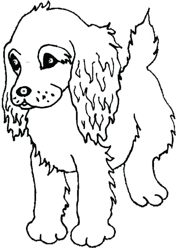 Cocker Spaniel Coloring Pages Spaniel Puppy Coloring Page Coloring 600x846 Cocker Spaniel Coloring Pages Spaniel Puppy Coloring Page Coloring