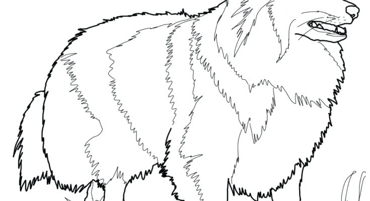 Dog Coloring Old Sheep Dog Coloring Page Dog Old Sheepdog Old 735x400 Dog Coloring Old Sheep Dog Coloring Page Dog Old Sheepdog Old
