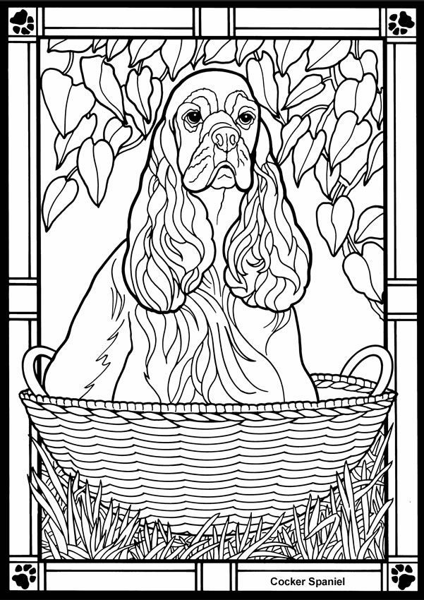 Dover Stained Glass Coloring Pages Dover Publications. You Can 601x850 Dover Stained Glass Coloring Pages Dover Publications. You Can