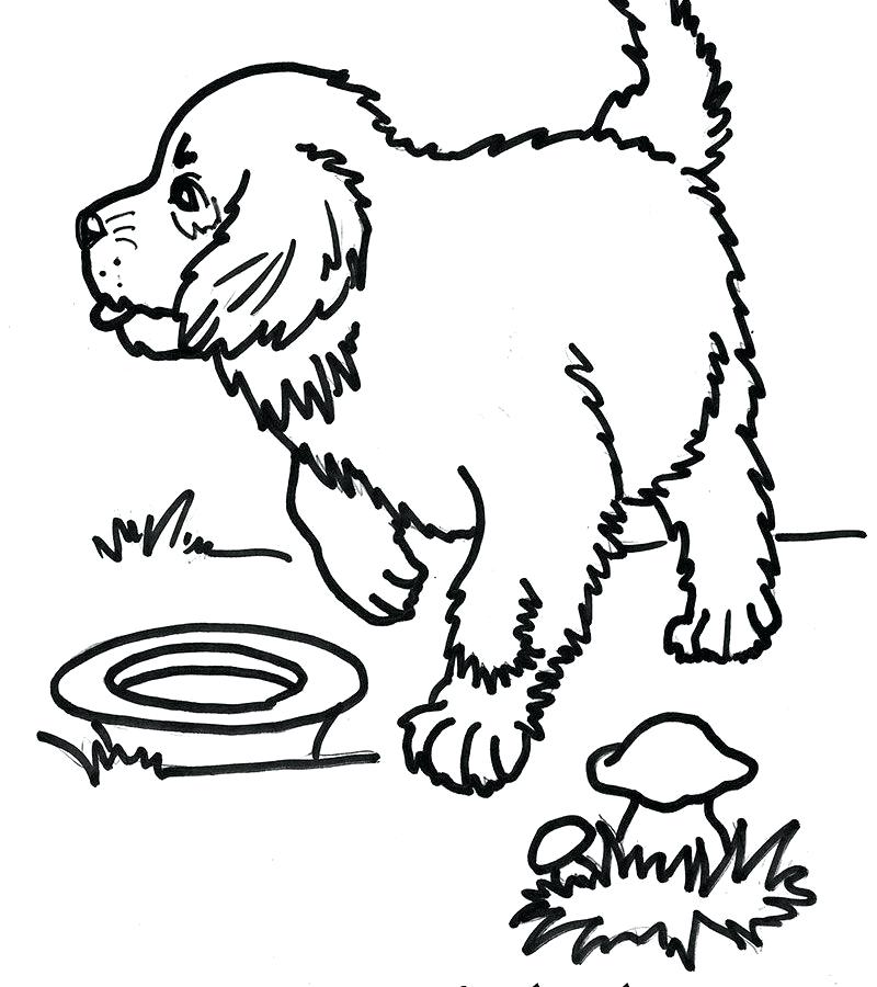 Saint Coloring Page Free Printable St Pages Animals Color Of Black 800x900 Saint Coloring Page Free Printable St Pages Animals Color Of Black
