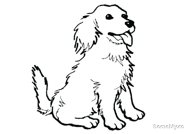 Spaniel Coloring Pages Spaniel Coloring Page Spaniel Coloring 630x450 Spaniel Coloring Pages Spaniel Coloring Page Spaniel Coloring