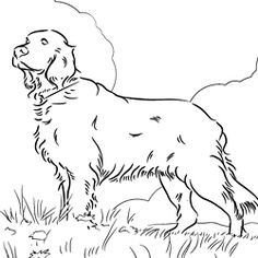 Cocker Spaniel Coloring Page Learning, Dog And Dog Quilts 236x236 Cocker Spaniel Coloring Page Learning, Dog And Dog Quilts