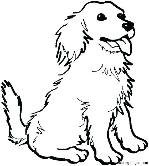 Cocker Spaniel Coloring Pages Coloring Page Of Dog Dogs Color 567x629 Cocker Spaniel Coloring Pages Coloring Page Of Dog Dogs Color